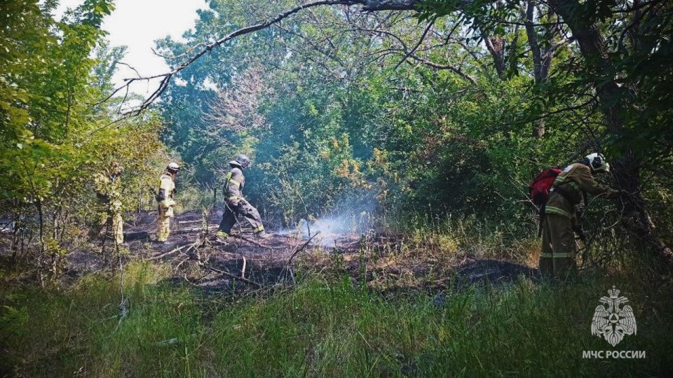 ГУ МЧС России по ЛНР обращает внимание граждан: в Республике закрепилась устойчиво засушливая погода, введен особый противопожарный режим! ГУ МЧС России по ЛНР обращает внимание граждан: в Республике закрепилась устойчиво засушливая погода, введен особый противопожарный режим!