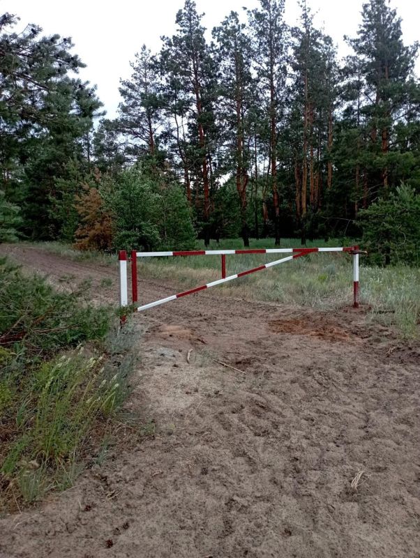 С наступлением пожароопасного сезона лесоохотничьи хозяйства Республики провели устройство и прочистку более 3,8 тыс С наступлением пожароопасного сезона лесоохотничьи хозяйства Республики провели устройство и прочистку более 3,8 тыс