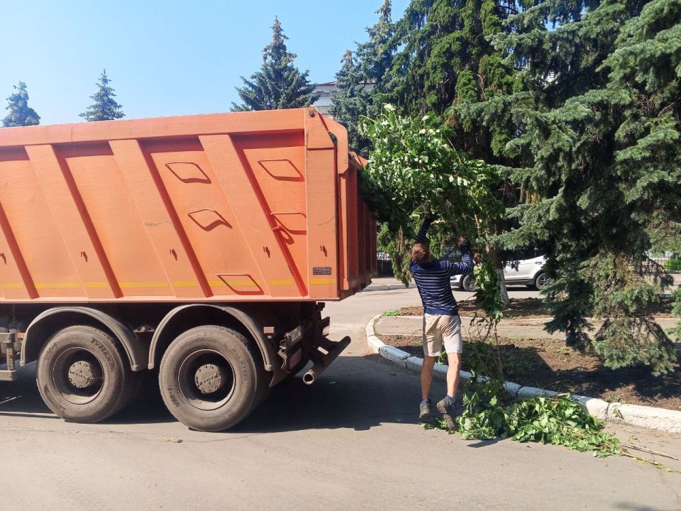 В рамках заключённого контракта с подрядной организацией на улице Ленина проводятся работы по вырубке самосевной поросли В рамках заключённого контракта с подрядной организацией на улице Ленина проводятся работы по вырубке самосевной поросли