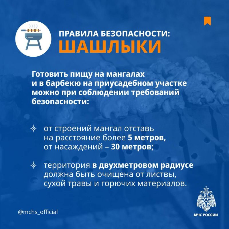 Готовим на мангале без риска!