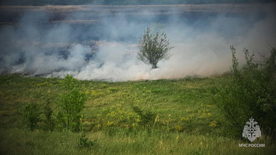В минувшие праздничные и выходные дни спасатели МЧС России ликвидировали в ЛНР 60 пожаров В минувшие праздничные и выходные дни спасатели МЧС России ликвидировали в ЛНР 60 пожаров