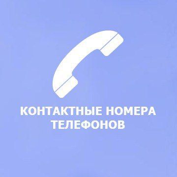 Контактные номера телефонов:
