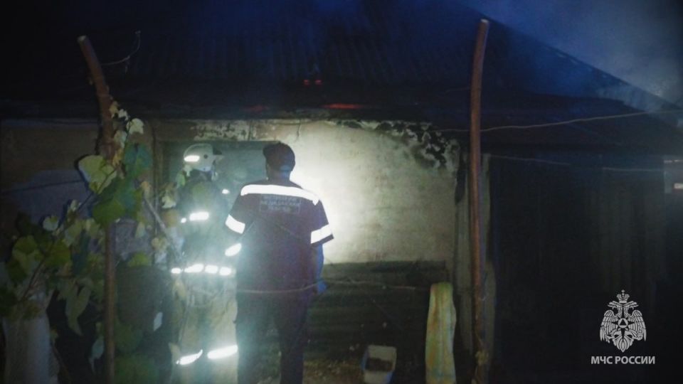 В селе Новоселовка на пожаре погибла пенсионерка В селе Новоселовка на пожаре погибла пенсионерка