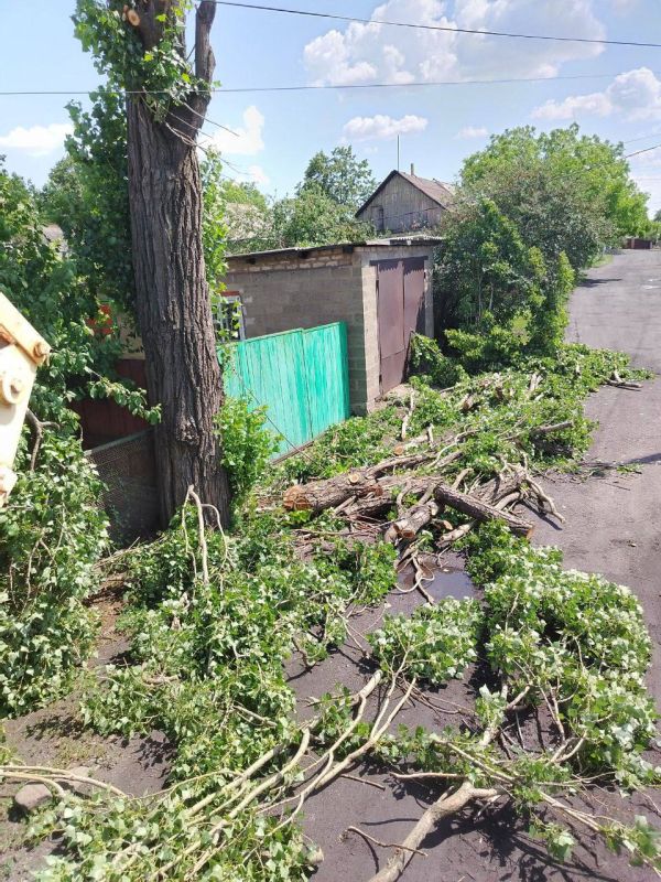 Андрей Рубанцов: В Ровеньках возобновлены работы по обрезке и удалению аварийных деревьев Андрей Рубанцов: В Ровеньках возобновлены работы по обрезке и удалению аварийных деревьев