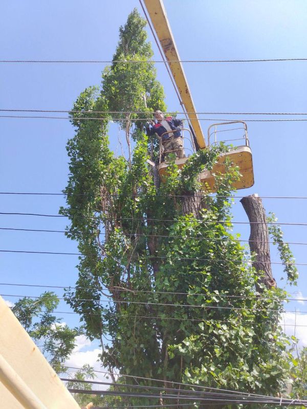 Андрей Рубанцов: В Ровеньках возобновлены работы по обрезке и удалению аварийных деревьев Андрей Рубанцов: В Ровеньках возобновлены работы по обрезке и удалению аварийных деревьев