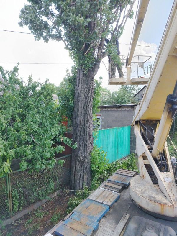 Андрей Рубанцов: В Ровеньках возобновлены работы по обрезке и удалению аварийных деревьев Андрей Рубанцов: В Ровеньках возобновлены работы по обрезке и удалению аварийных деревьев