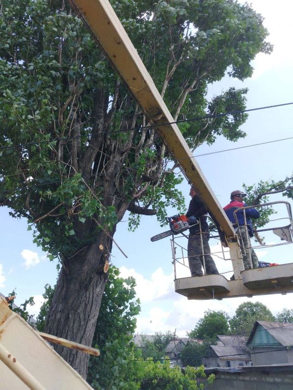 Андрей Рубанцов: В Ровеньках возобновлены работы по обрезке и удалению аварийных деревьев Андрей Рубанцов: В Ровеньках возобновлены работы по обрезке и удалению аварийных деревьев