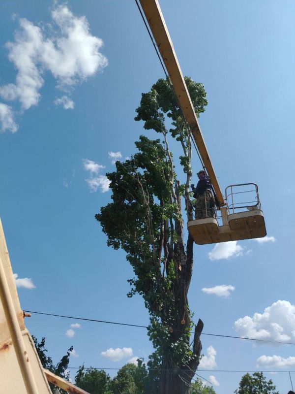 Андрей Рубанцов: В Ровеньках возобновлены работы по обрезке и удалению аварийных деревьев Андрей Рубанцов: В Ровеньках возобновлены работы по обрезке и удалению аварийных деревьев