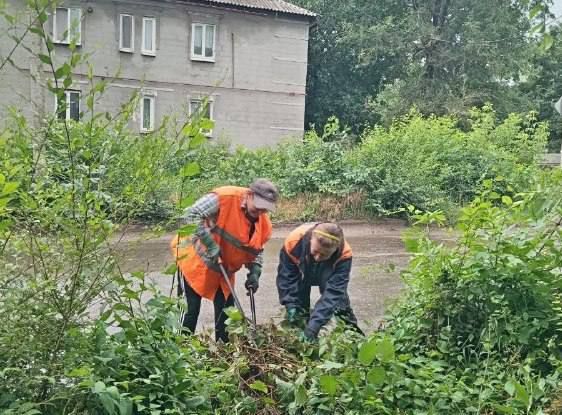 Коммунальные службы проводят работы на территории города Коммунальные службы проводят работы на территории города