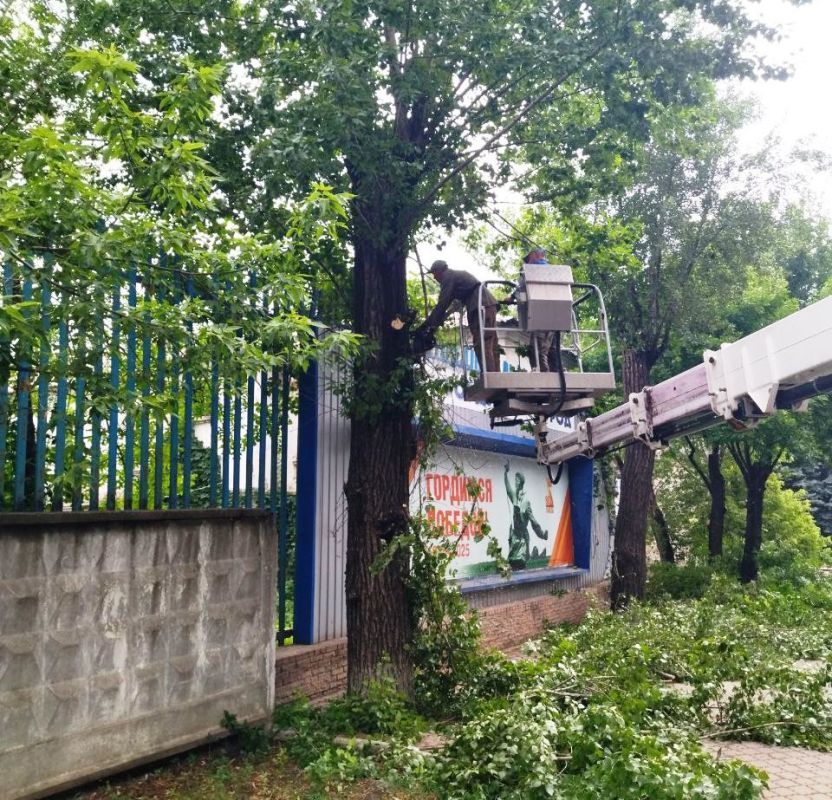 Силами МУП "Антрацитовское зеленое хозяйство" ежедневно выполняются работы по спилу и омоложению зеленых насаждений, покосу травы на газонах, подметанию дорожек и очистке плитки от травы, а также прополке и рыхлению сорняков... Силами МУП "Антрацитовское зеленое хозяйство" ежедневно выполняются работы по спилу и омоложению зеленых насаждений, покосу травы на газонах, подметанию дорожек и очистке плитки от травы, а также прополке и рыхлению сорняков...