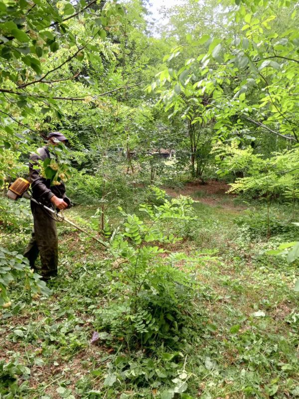 Коммунальные будни. Покос травы на территории городского округа продолжается Коммунальные будни. Покос травы на территории городского округа продолжается