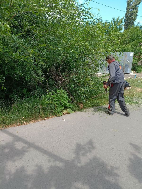 Коммунальные будни. Покос травы на территории городского округа продолжается Коммунальные будни. Покос травы на территории городского округа продолжается