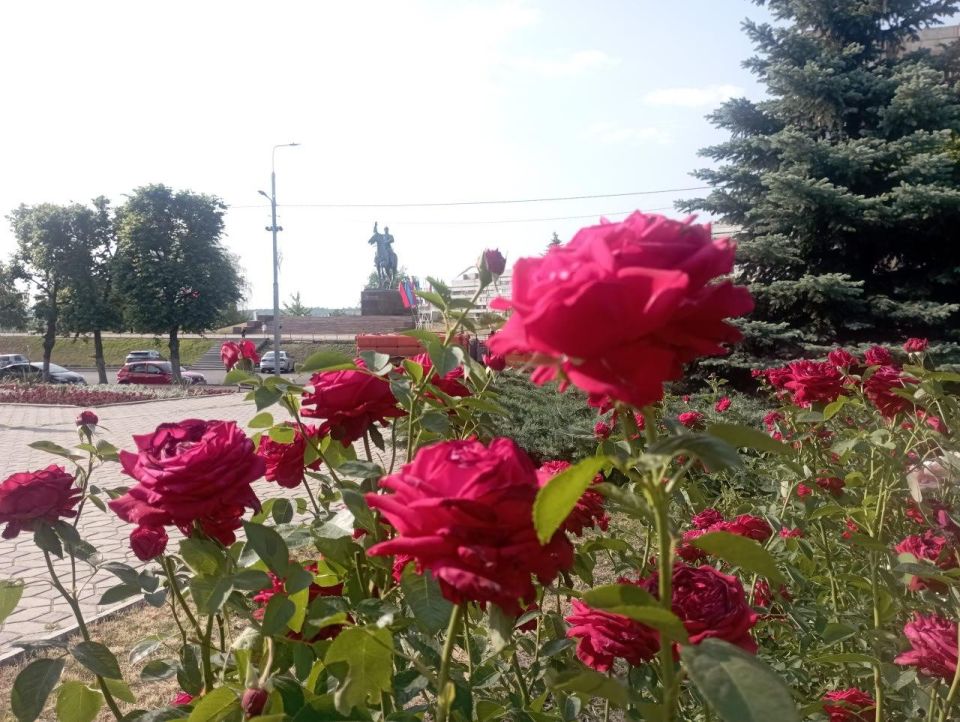 В этом году Луганск украшают более 25 тыс В этом году Луганск украшают более 25 тыс
