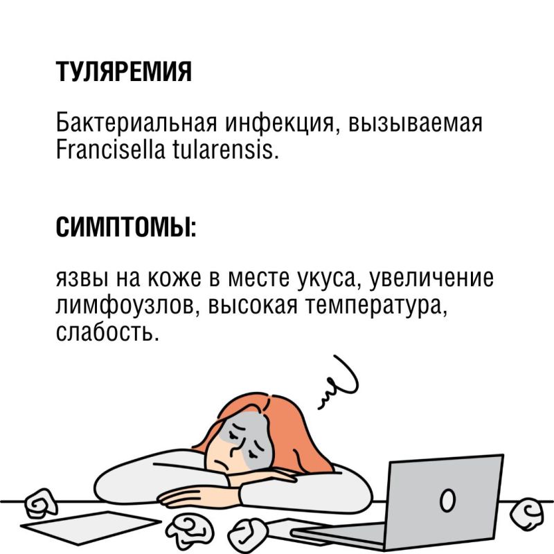 Клещи могут быть опаснее, чем кажется Клещи могут быть опаснее, чем кажется