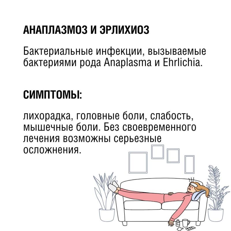 Клещи могут быть опаснее, чем кажется Клещи могут быть опаснее, чем кажется
