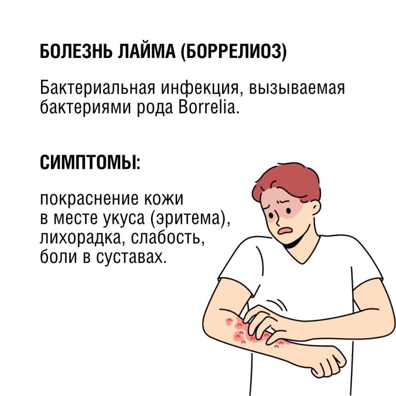 Клещи могут быть опаснее, чем кажется Клещи могут быть опаснее, чем кажется