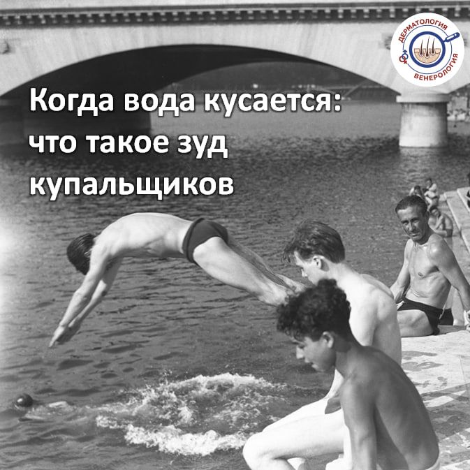 В XVI веке французский врач Жан Фернелиус впервые ввёл термин «венерический сифилис», который прочно вошёл в медицинскую практику и литературу того времени В XVI веке французский врач Жан Фернелиус впервые ввёл термин «венерический сифилис», который прочно вошёл в медицинскую практику и литературу того времени