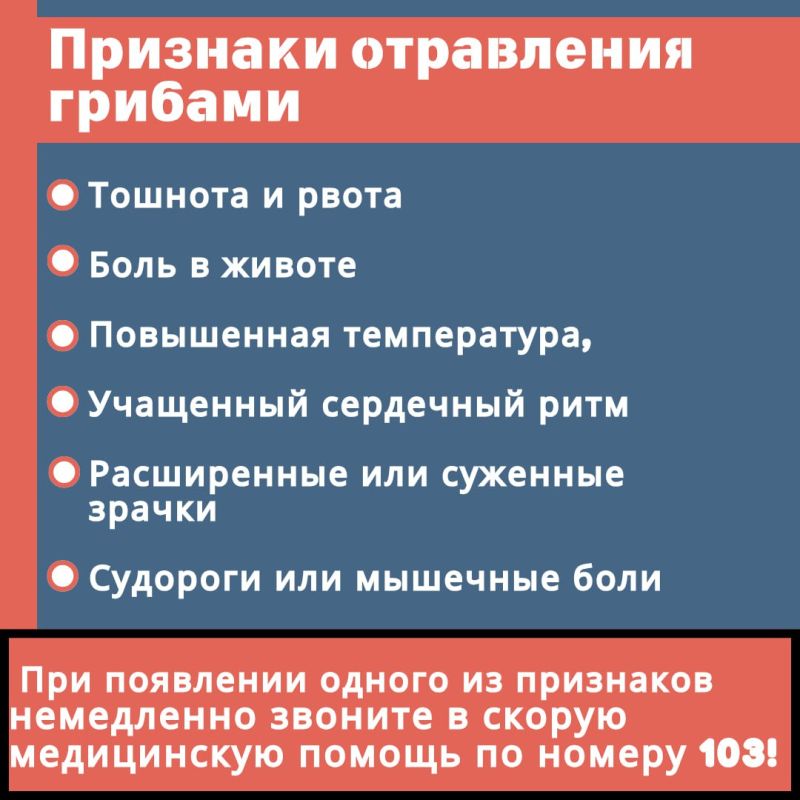 В России около 300 тысяч видов грибов, из которых съедобных примерно 300 В России около 300 тысяч видов грибов, из которых съедобных примерно 300