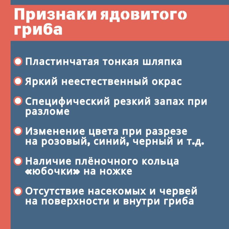 В России около 300 тысяч видов грибов, из которых съедобных примерно 300 В России около 300 тысяч видов грибов, из которых съедобных примерно 300