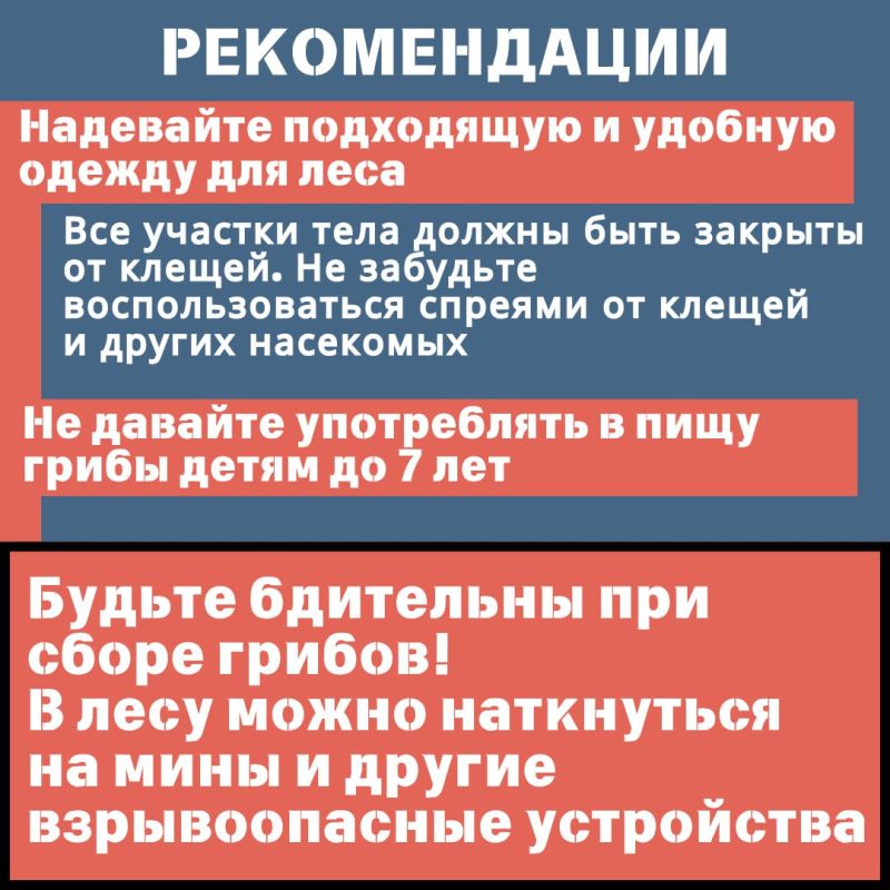 В России около 300 тысяч видов грибов, из которых съедобных примерно 300 В России около 300 тысяч видов грибов, из которых съедобных примерно 300