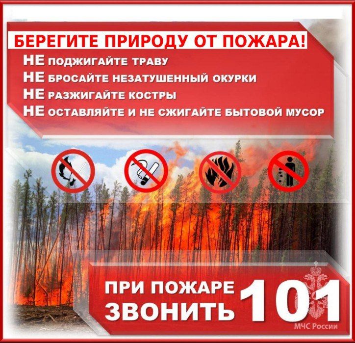 Памятка«Не допусти ландшафтный пожар!» Памятка«Не допусти ландшафтный пожар!»