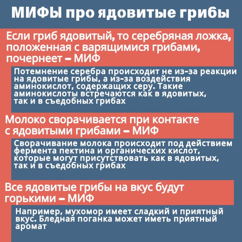 В России около 300 тысяч видов грибов, из которых съедобных примерно 300 В России около 300 тысяч видов грибов, из которых съедобных примерно 300
