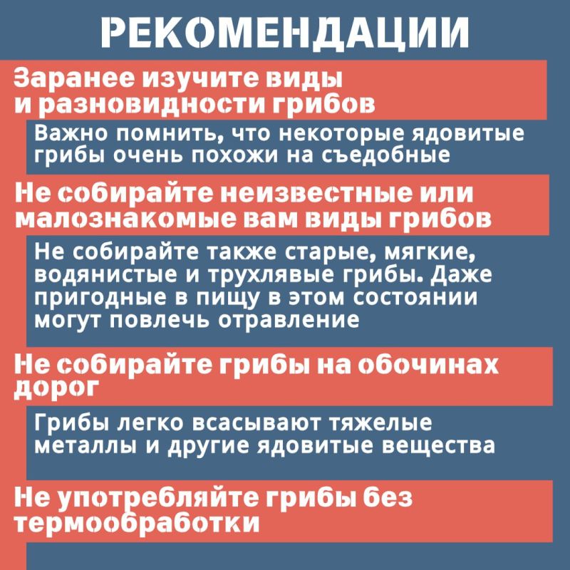 В России около 300 тысяч видов грибов, из которых съедобных примерно 300 В России около 300 тысяч видов грибов, из которых съедобных примерно 300