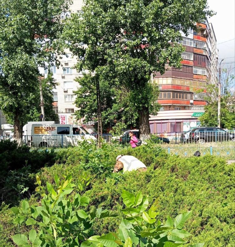 Специалисты МУП "Антрацитовское зеленое хозяйство" активно продолжают работы по благоустройству территории города Специалисты МУП "Антрацитовское зеленое хозяйство" активно продолжают работы по благоустройству территории города