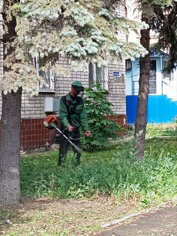 Специалисты МУП "Антрацитовское зеленое хозяйство" активно продолжают работы по благоустройству территории города Специалисты МУП "Антрацитовское зеленое хозяйство" активно продолжают работы по благоустройству территории города