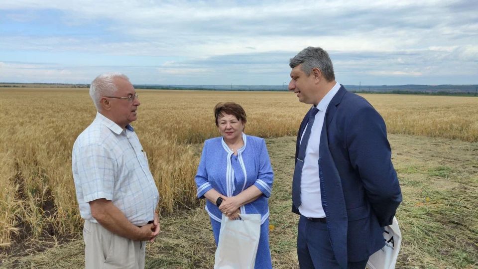 Зинаида Наден: Сегодня приняла участие в республиканской выставке «День поля», которая состоялась на базе Славяносербской сортоиспытательной станции Луганского государственного аграрного университета при поддержке... Зинаида Наден: Сегодня приняла участие в республиканской выставке «День поля», которая состоялась на базе Славяносербской сортоиспытательной станции Луганского государственного аграрного университета при поддержке...