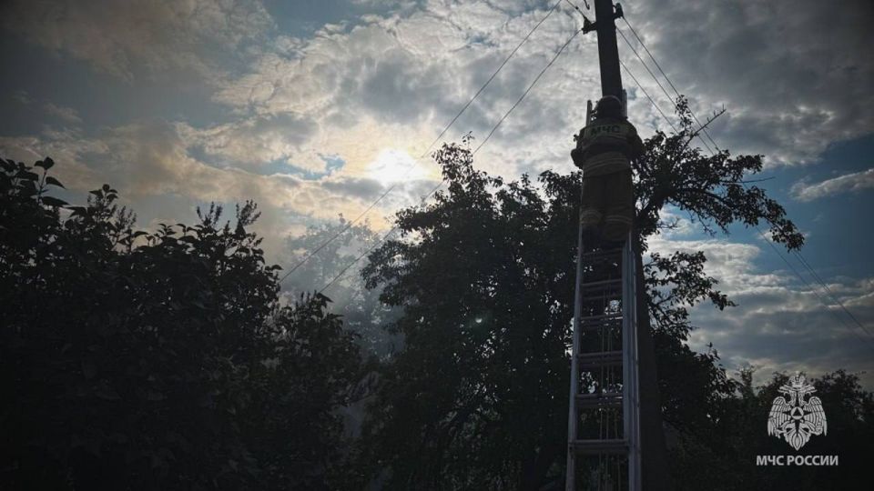 Мужчина-инвалид погиб на пожаре в Перевальском районе, сообщили в ГУ МЧС России по Республике Мужчина-инвалид погиб на пожаре в Перевальском районе, сообщили в ГУ МЧС России по Республике