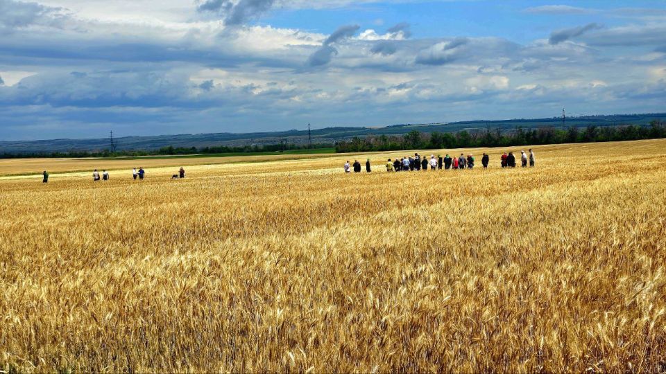Отличный полевой день на Славяносербской сортоиспытательной станции Луганского ГАУ Отличный полевой день на Славяносербской сортоиспытательной станции Луганского ГАУ