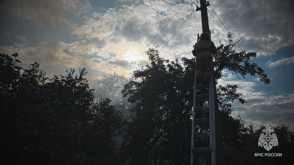 Мужчина с инвалидностью погиб на пожаре в Перевальском округе Мужчина с инвалидностью погиб на пожаре в Перевальском округе