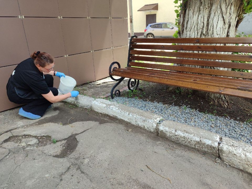 Сотрудники отделения МФЦ Антрацитовского МО вышли на субботник! Сотрудники отделения МФЦ Антрацитовского МО вышли на субботник!