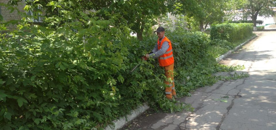 В Молодогвардейске выполнены работы по благоустройству В Молодогвардейске выполнены работы по благоустройству