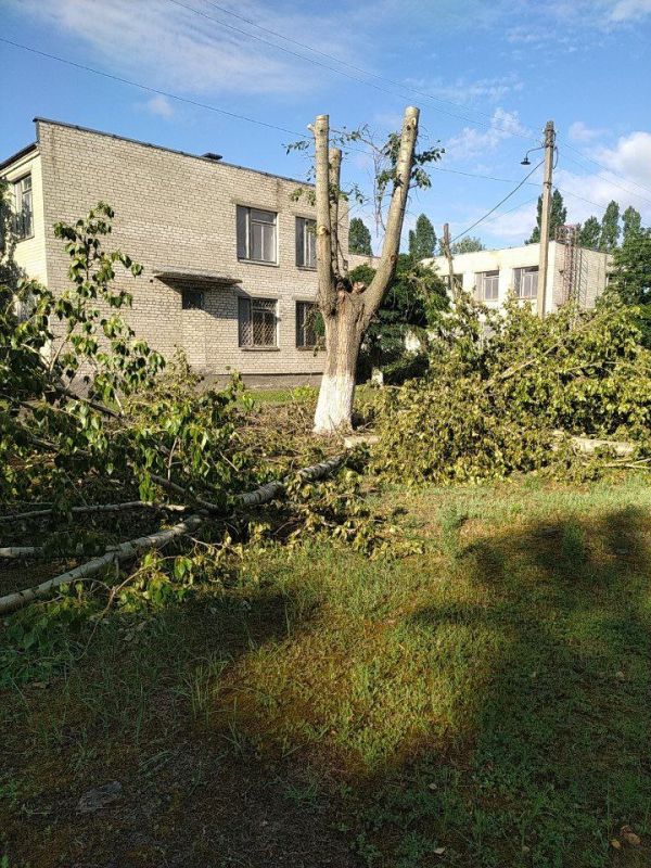 Сотрудники МУП «ДЭП города Рубежное» провели обрезку деревьев возле МБУ ДО «Рубежанской детской школы искусств» Сотрудники МУП «ДЭП города Рубежное» провели обрезку деревьев возле МБУ ДО «Рубежанской детской школы искусств»