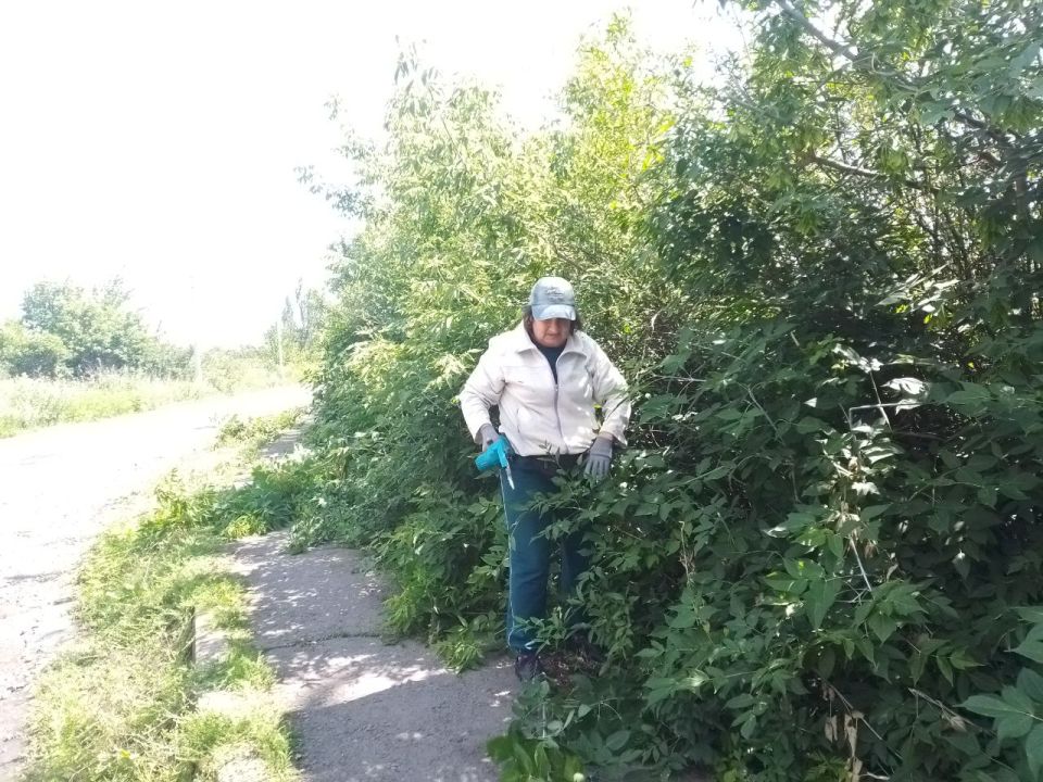 В поселке городского типа Новодарьевка продолжаются работы по благоустройству территории В поселке городского типа Новодарьевка продолжаются работы по благоустройству территории