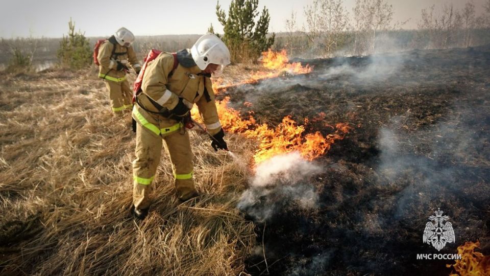 Не допусти распространения сухотравных пожаров! Соблюдай противопожарный режим Не допусти распространения сухотравных пожаров! Соблюдай противопожарный режим