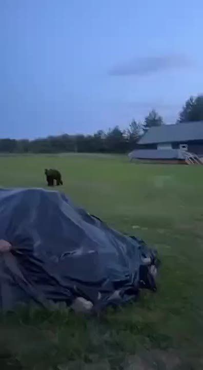    . ,   :               