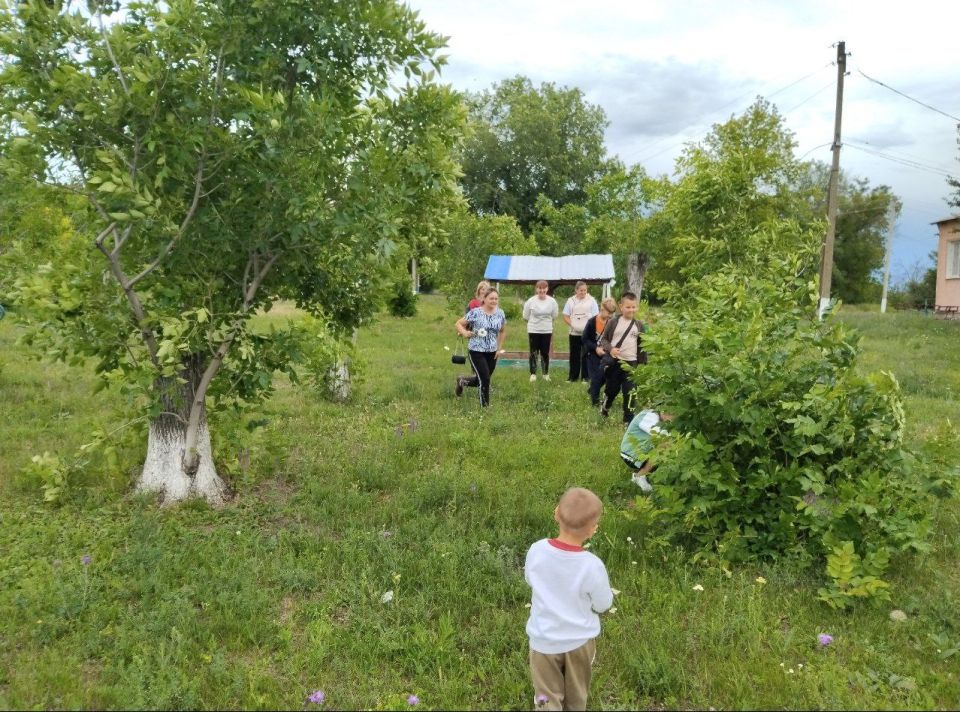 Семейное сокровище найдено! Семейное сокровище найдено!