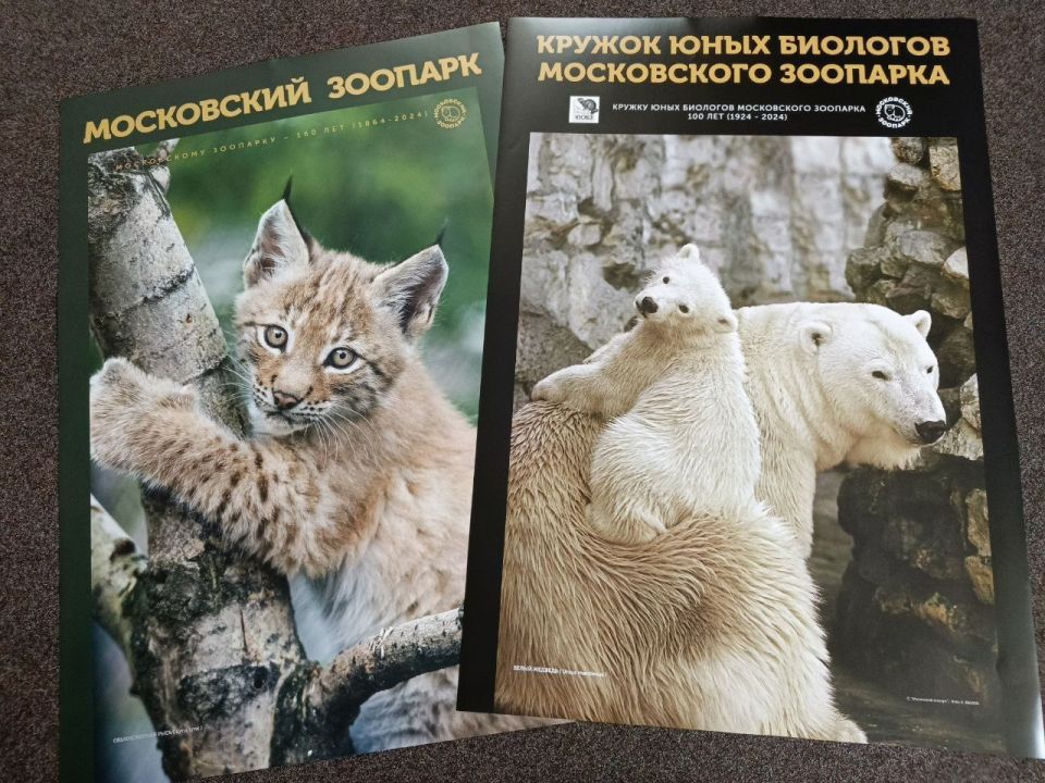 Андрей Рубанцов: Интерактивные технологии: новые горизонты в реабилитации детей в Ровеньках! Андрей Рубанцов: Интерактивные технологии: новые горизонты в реабилитации детей в Ровеньках!