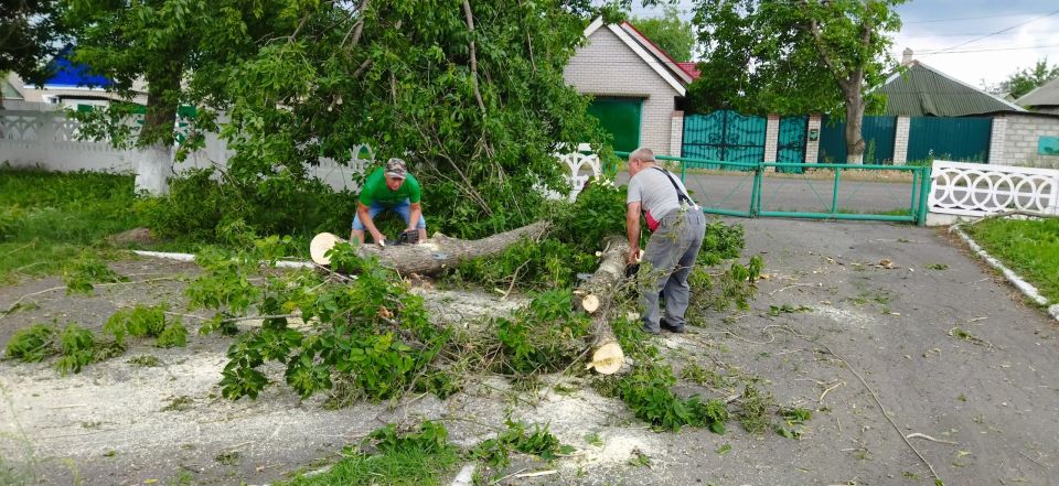 Сотрудники Дома культуры им. Ленина пгт Новодарьевка распилили и убрали поваленные деревья на территории ДК Сотрудники Дома культуры им. Ленина пгт Новодарьевка распилили и убрали поваленные деревья на территории ДК