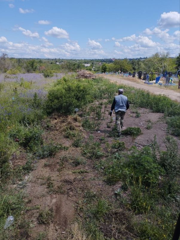 Сегодня на кладбище в Козабелово сотрудники "Спецкомавтотранса" провели масштабную уборку Сегодня на кладбище в Козабелово сотрудники "Спецкомавтотранса" провели масштабную уборку