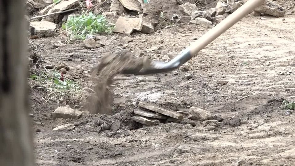  5 .  