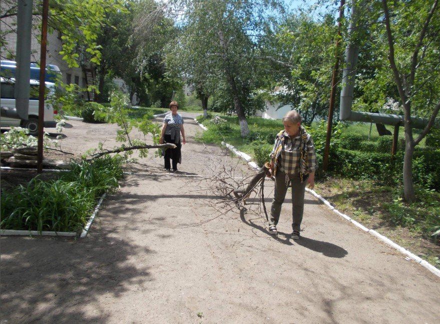 В библиотеке, расположенной в квартале Гагарина, прошла экологическая акция под названием «Чистый двор библиотеки» В библиотеке, расположенной в квартале Гагарина, прошла экологическая акция под названием «Чистый двор библиотеки»