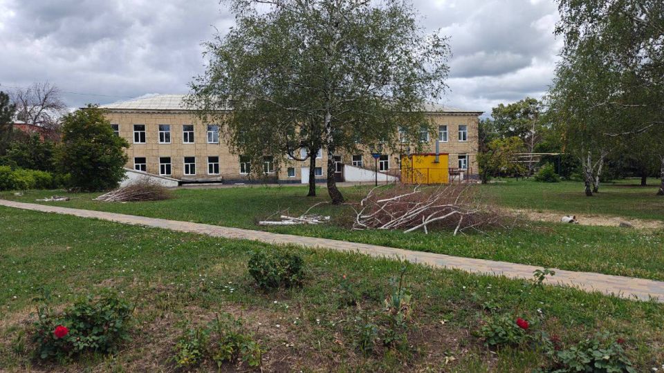 Виктория Сергеева: Коммунальщики в действии. В Кировске продолжается покос травы, обрезка и спил аварийных деревьев Виктория Сергеева: Коммунальщики в действии. В Кировске продолжается покос травы, обрезка и спил аварийных деревьев