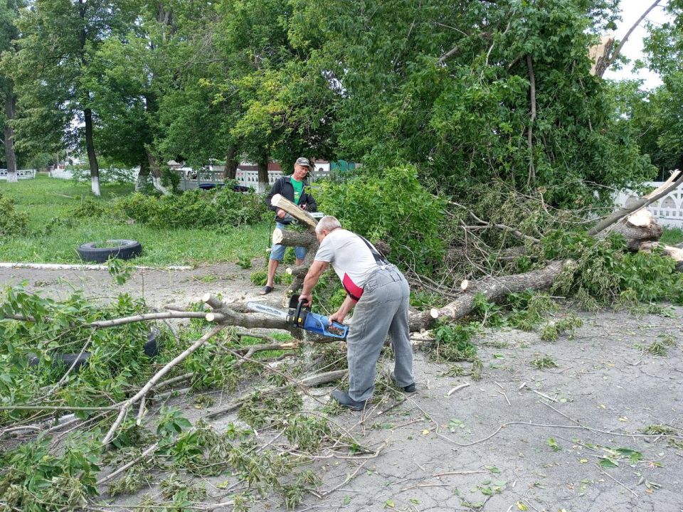 Сотрудники Дома культуры им. Ленина пгт Новодарьевка распилили и убрали поваленные деревья на территории ДК Сотрудники Дома культуры им. Ленина пгт Новодарьевка распилили и убрали поваленные деревья на территории ДК