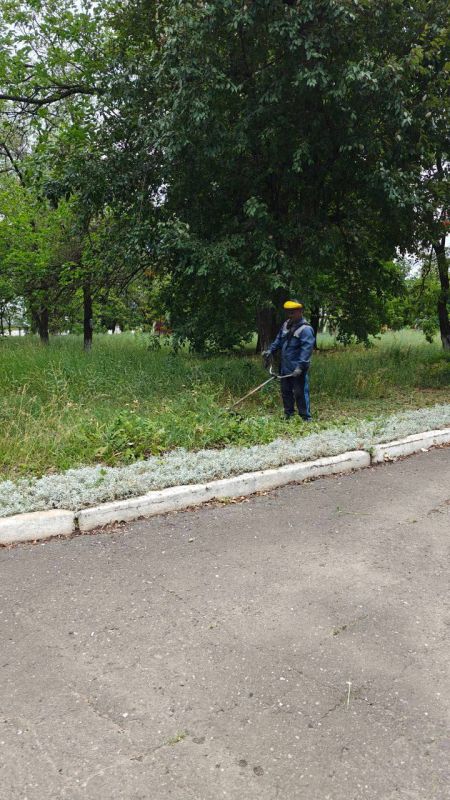 Виктория Сергеева: Коммунальщики в действии. В Кировске продолжается покос травы, обрезка и спил аварийных деревьев Виктория Сергеева: Коммунальщики в действии. В Кировске продолжается покос травы, обрезка и спил аварийных деревьев