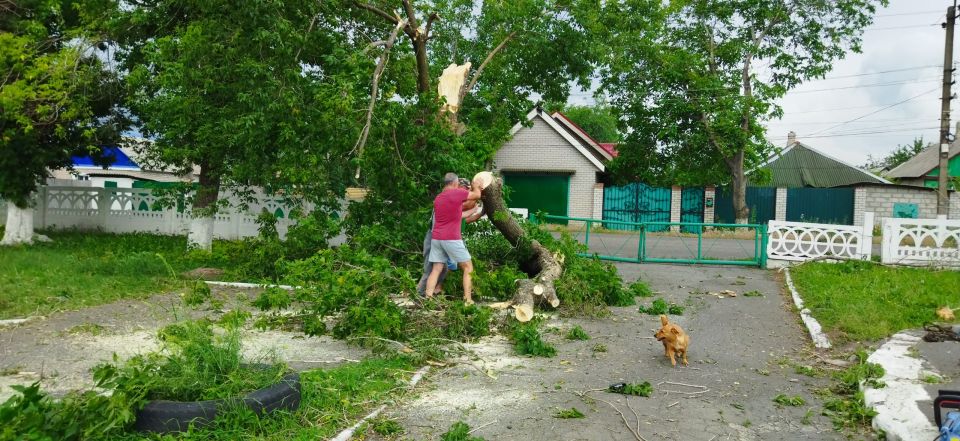 Сотрудники Дома культуры им. Ленина пгт Новодарьевка распилили и убрали поваленные деревья на территории ДК Сотрудники Дома культуры им. Ленина пгт Новодарьевка распилили и убрали поваленные деревья на территории ДК