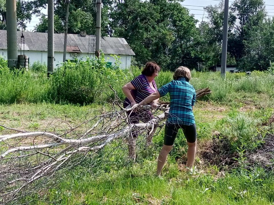 Сотрудники Дома культуры им. Ленина пгт Новодарьевка распилили и убрали поваленные деревья на территории ДК Сотрудники Дома культуры им. Ленина пгт Новодарьевка распилили и убрали поваленные деревья на территории ДК